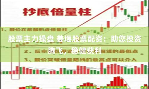 股票主力操盘 姜堰股票配资：助您投资腾飞，稳健获利