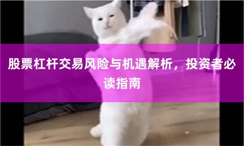 股票杠杆交易风险与机遇解析，投资者必读指南