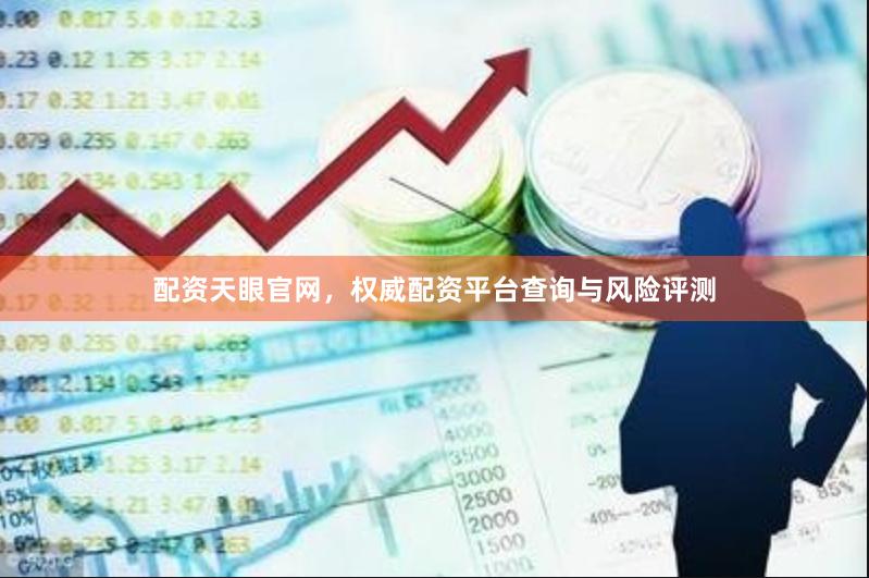 配资天眼官网，权威配资平台查询与风险评测