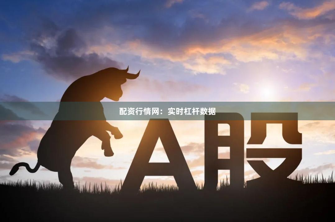 配资行情网：实时杠杆数据
