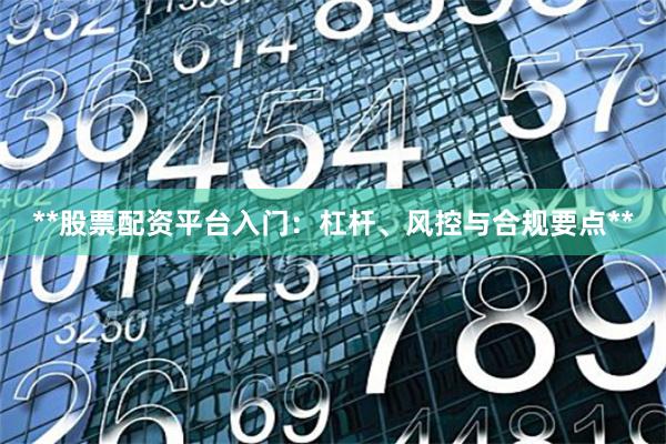 **股票配资平台入门：杠杆、风控与合规要点**